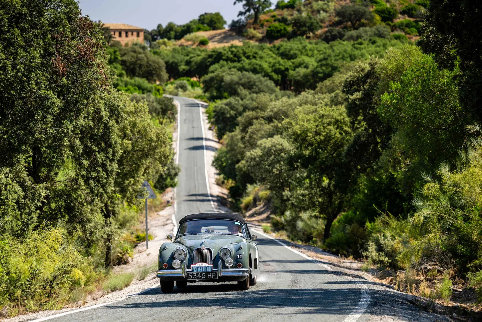 CARRERA ANDALUCIA HOT TO TROT IN SIZZLING SPAIN