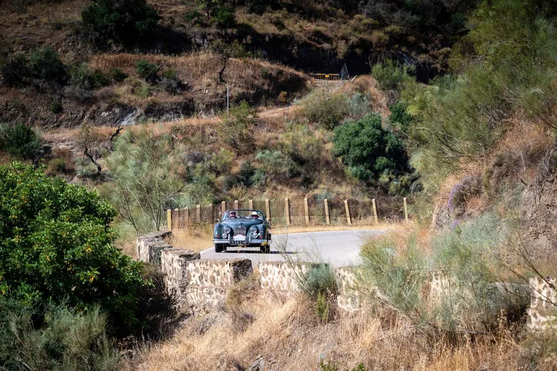CARRERA ANDALUCIA HOT TO TROT IN SIZZLING SPAIN