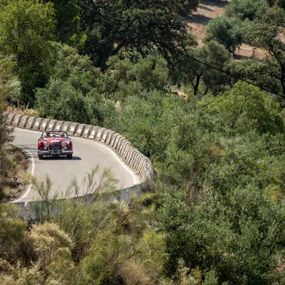 Carrera Andalucia