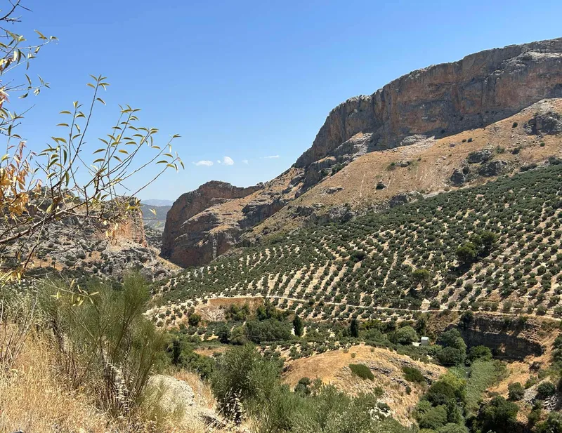 CARRERA ANDALUCÍA RECCE REPORT