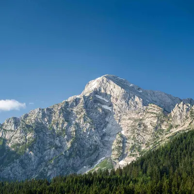 Carrera Bavaria