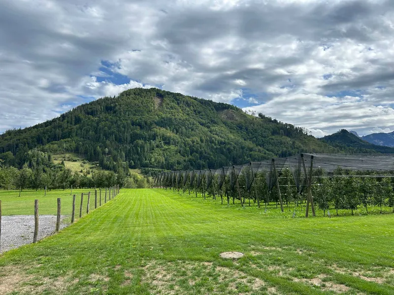 Carrera Bohemia – Route Report