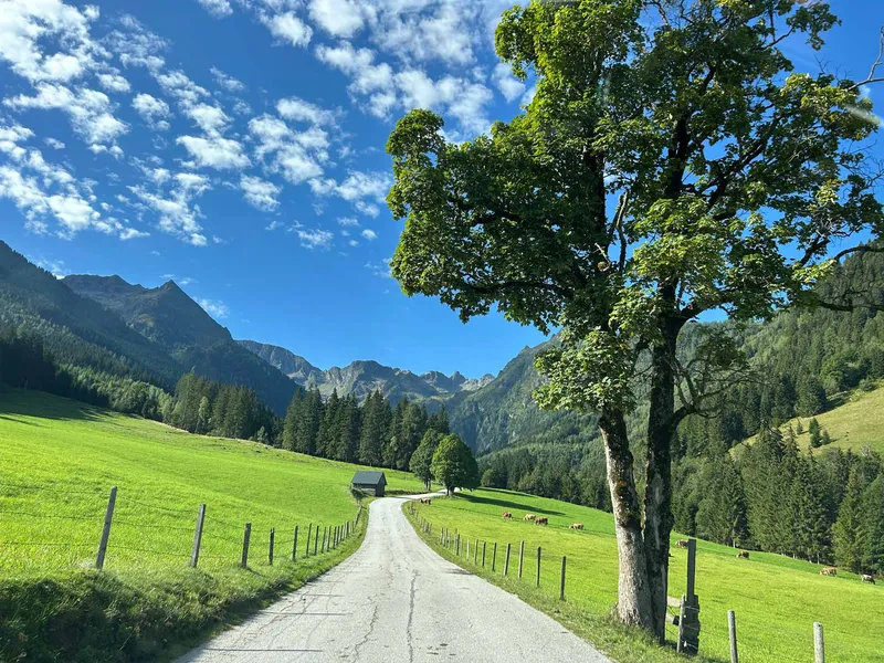Carrera Bohemia 2027: on the route