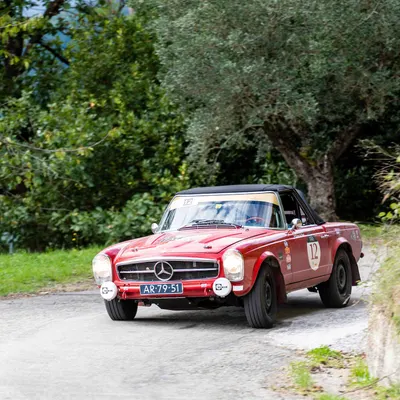 Carrera Italia
