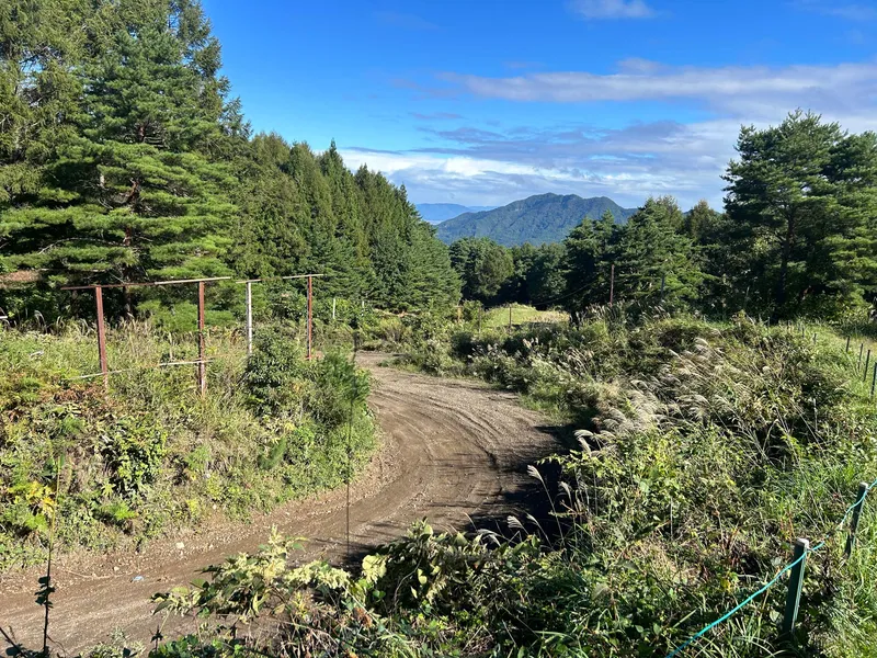 ISLANDS OF JAPAN MARATHON RECCE REPORT – PART ONE