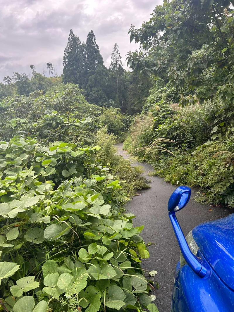 ISLANDS OF JAPAN MARATHON RECCE REPORT – PART ONE