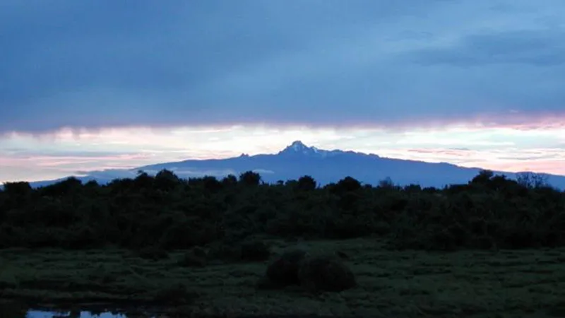 AN AFRICAN 'GAME DRIVE' LIKE NO OTHER