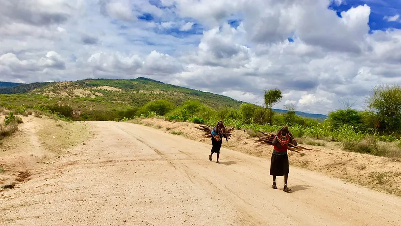 AN AFRICAN 'GAME DRIVE' LIKE NO OTHER