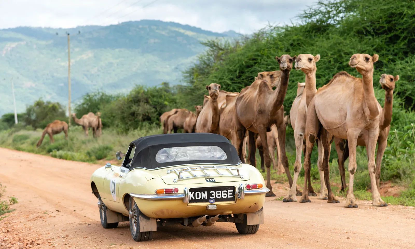 BENTLEY TAKES TOP HONOURS ON EPIC EAST AFRICAN ADVENTURE