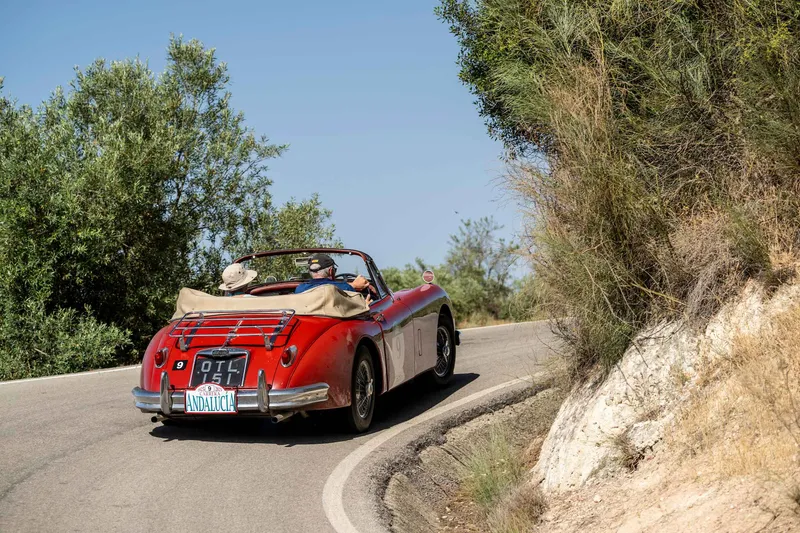 CARRERA ANDALUCIA HOT TO TROT IN SIZZLING SPAIN