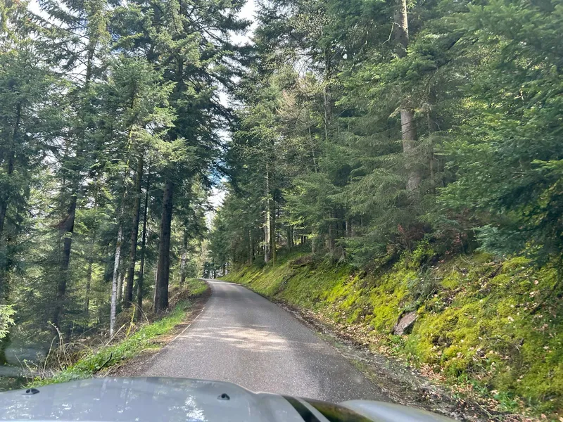 CARRERA BAVARIA RECCE REPORT