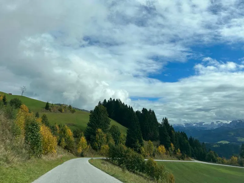 CARRERA BAVARIA RECCE REPORT