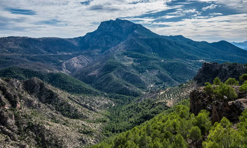 CARRERA IBERIA CURTAIN-RAISER RECEIVES RAVE FIVE STAR REVIEWS