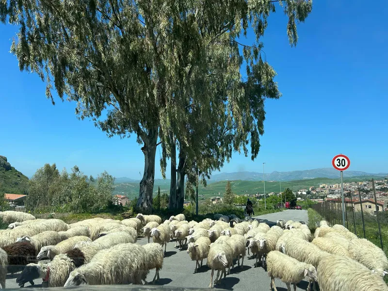 DISCOVERING SICILY