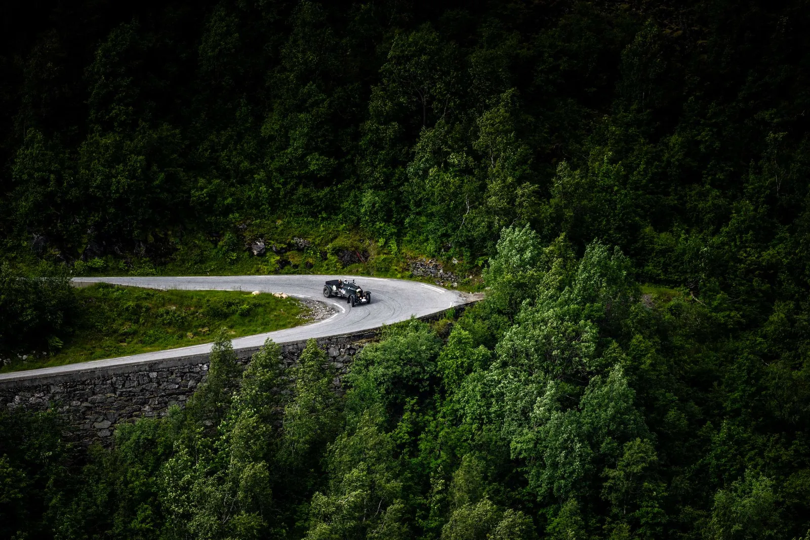 FORESTS AND FJORDS TO THE FORE AS RALLY THE GLOBE'S NORDIC CHALLENGE DELIVERS ON ALL FRONTS