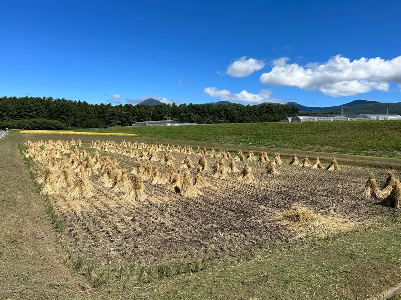 ISLANDS OF JAPAN MARATHON RECCE REPORT – PART ONE