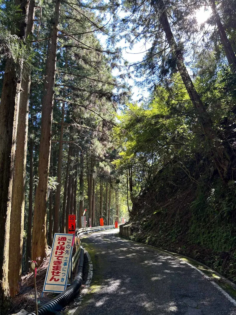 ISLANDS OF JAPAN MARATHON RECCE REPORT – PART TWO
