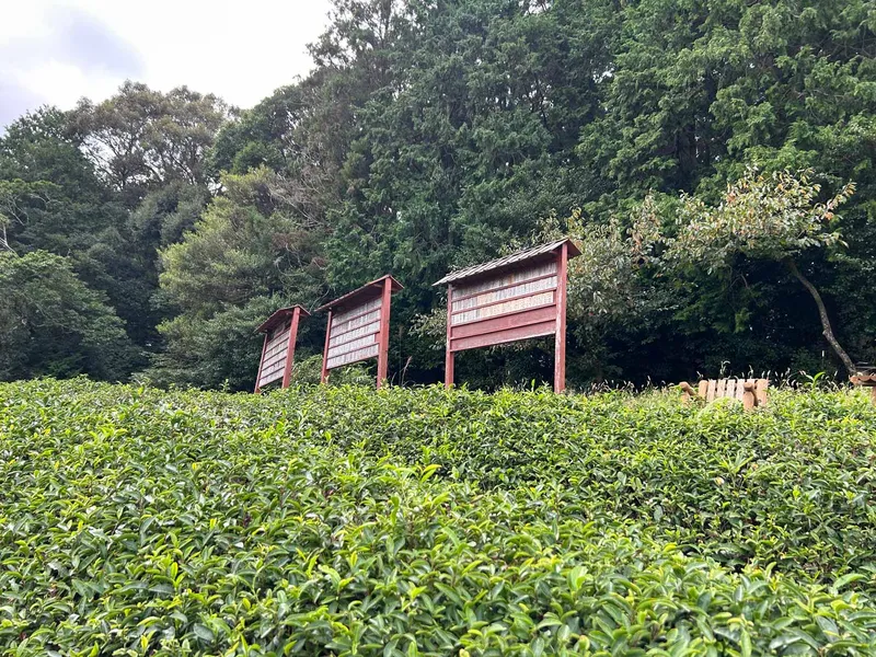 ISLANDS OF JAPAN MARATHON RECCE REPORT – PART TWO