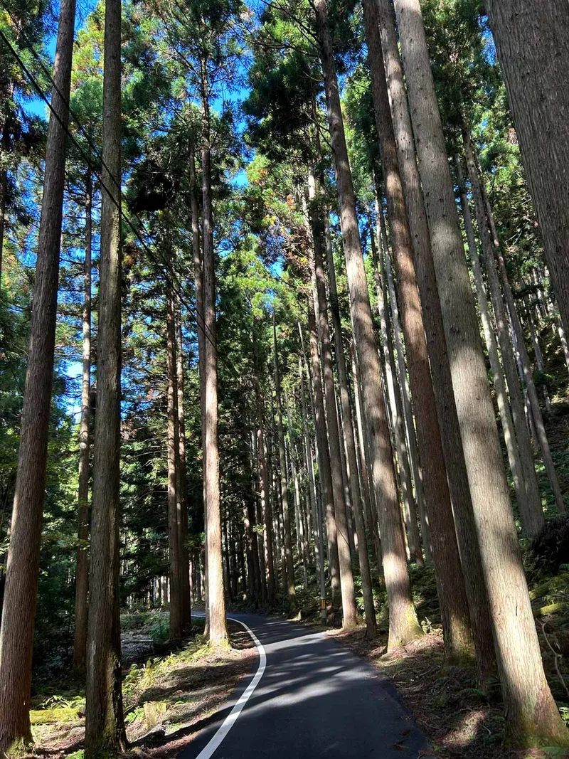 ISLANDS OF JAPAN MARATHON RECCE REPORT – PART TWO