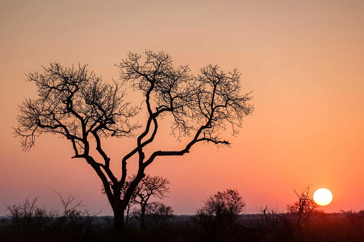 RALLY THE GLOBE REVS UP FOR EPIC EAST AFRICAN ADVENTURE