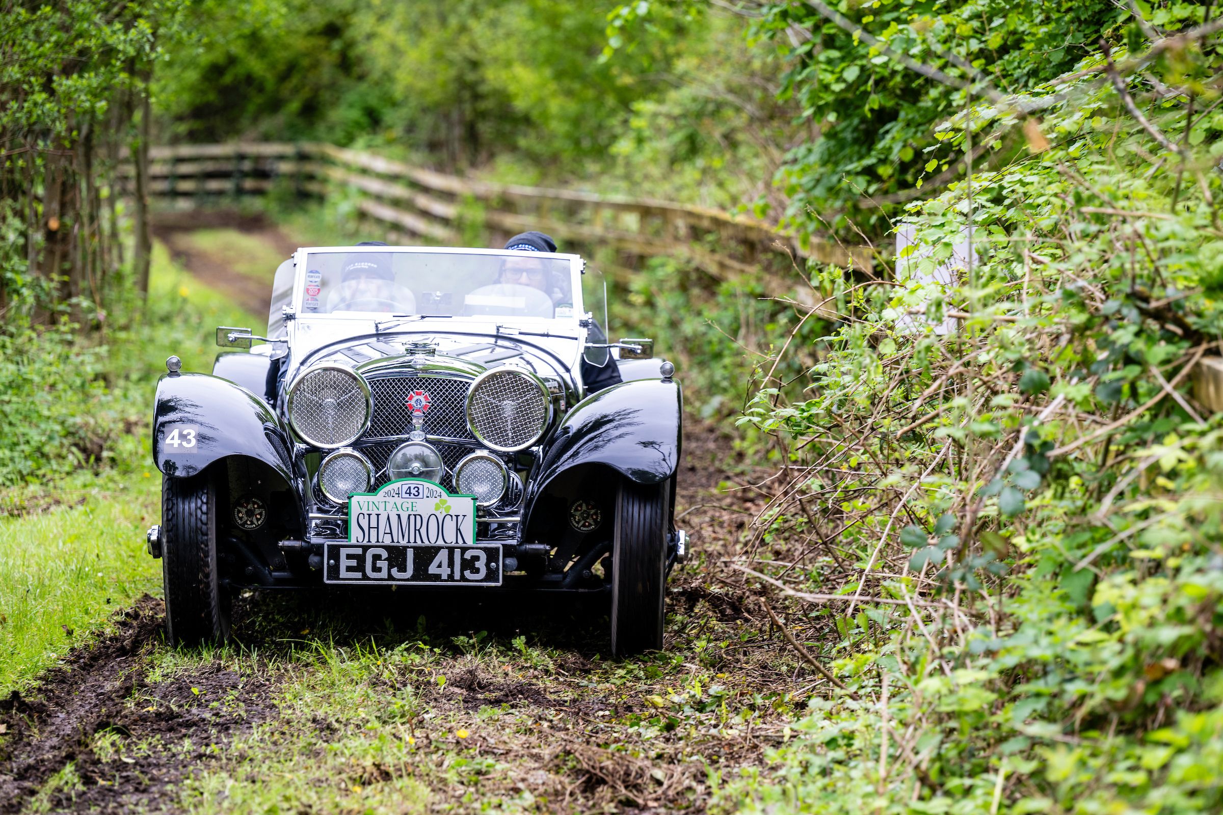 STUNNING SS JAGUAR POUNCES TO TAKE VINTAGE SHAMROCK SPOILS