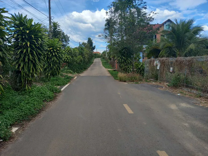 SURVEYING THE ROAD TO HANOI