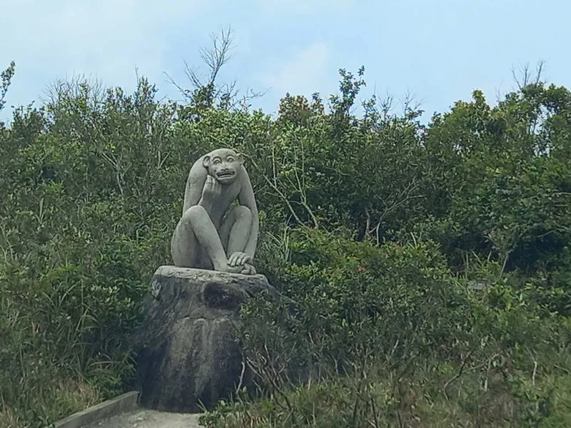 SURVEYING THE ROAD TO HANOI