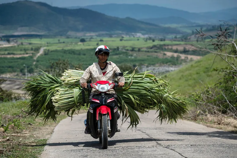 SURVEYING THE ROAD TO HANOI