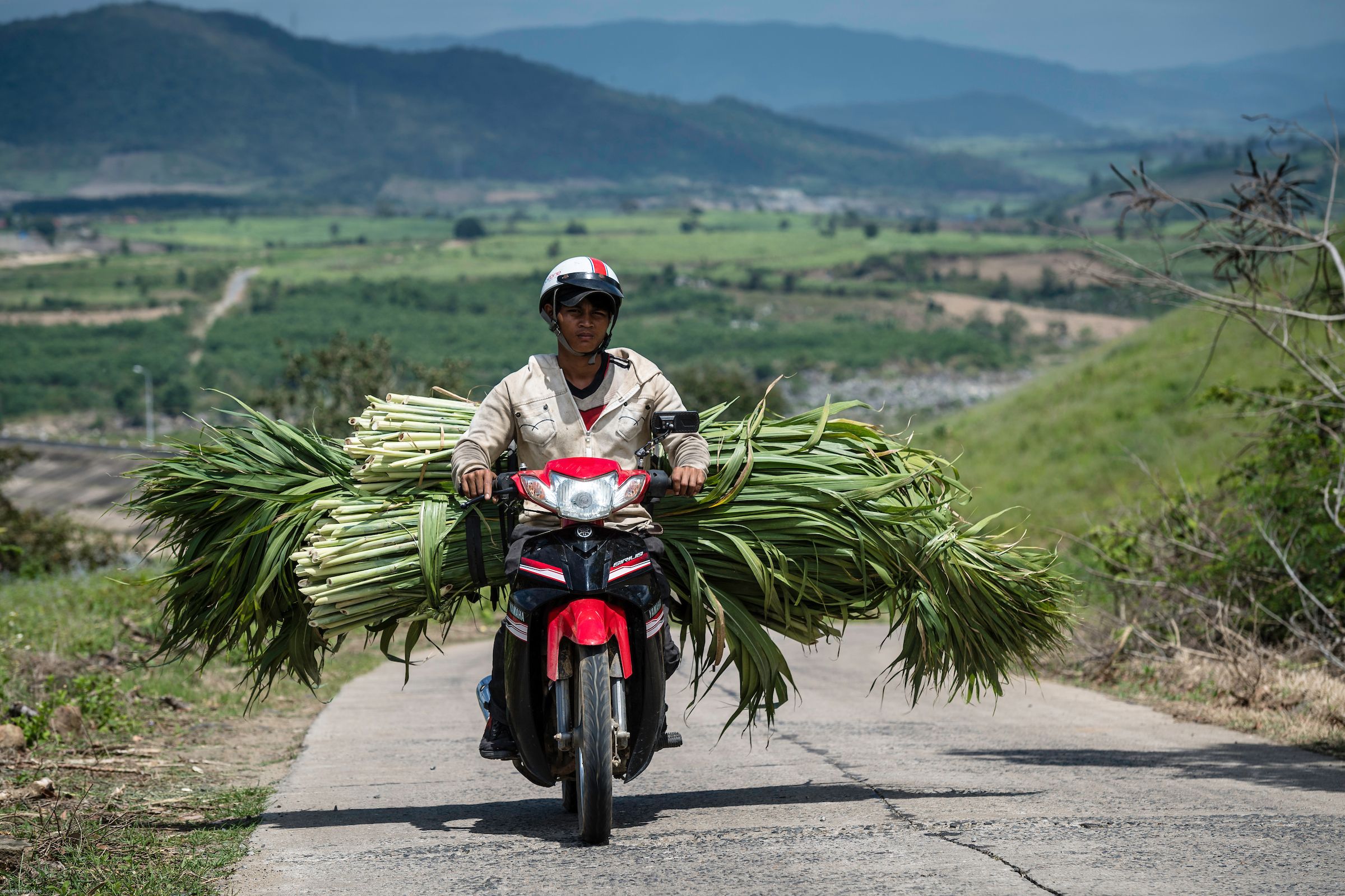 SURVEYING THE ROAD TO HANOI