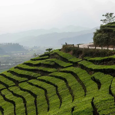 Road to Hanoi Marathon