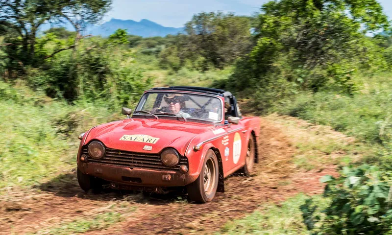 Southern Cross Safari 2020