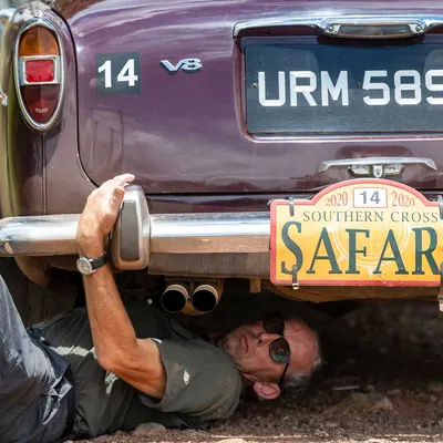 Southern Cross Safari