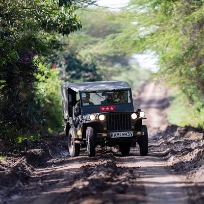Southern Cross Safari