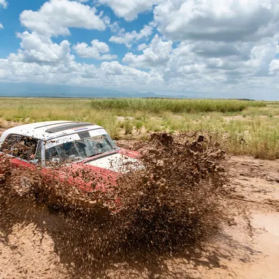 Southern Cross Safari