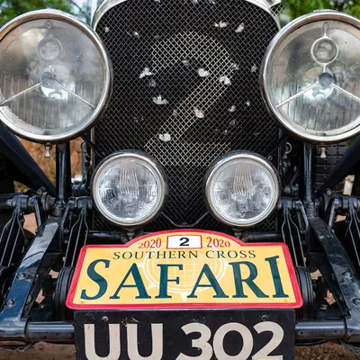 Southern Cross Safari