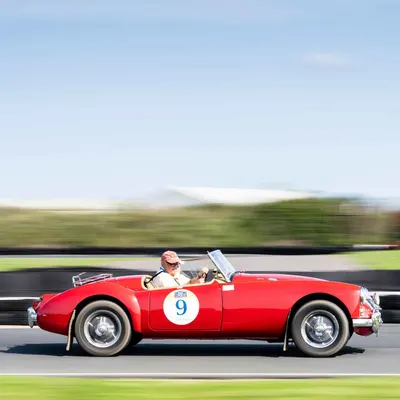Suffolk Cloverleaf