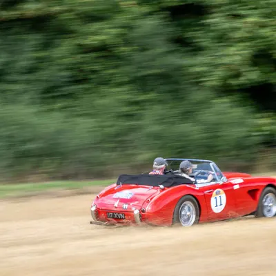 Suffolk Cloverleaf