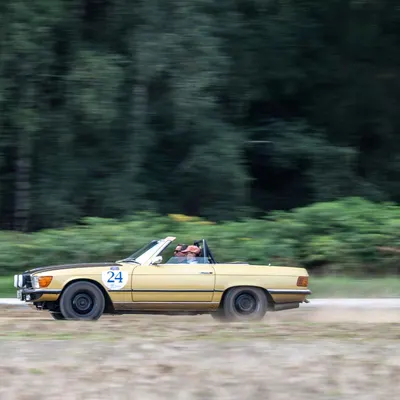Suffolk Cloverleaf
