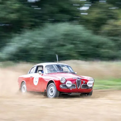 Suffolk Cloverleaf