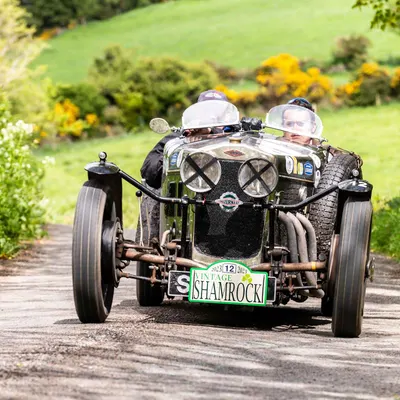 Vintage Shamrock 2023