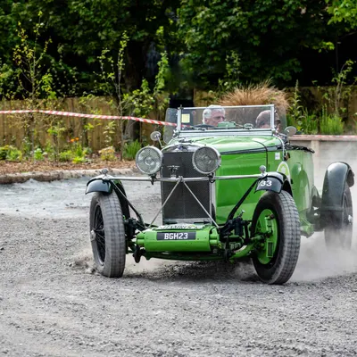Vintage Shamrock 2024