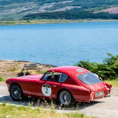 West Highland Cloverleaf July