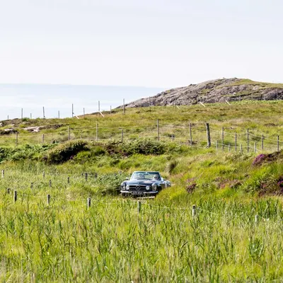 West Highland Cloverleaf July
