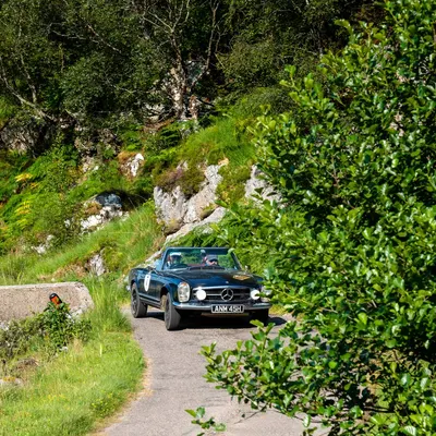 West Highland Cloverleaf July