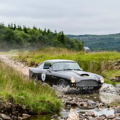 West Highland Cloverleaf July
