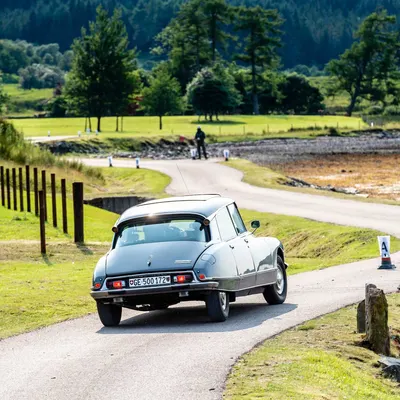 West Highland Cloverleaf July