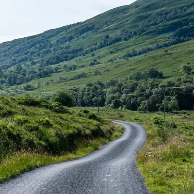 West Highland Cloverleaf July