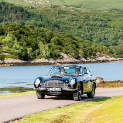 West Highland Cloverleaf July