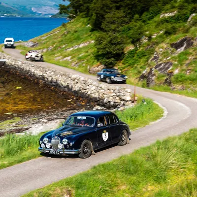 West Highland Cloverleaf July