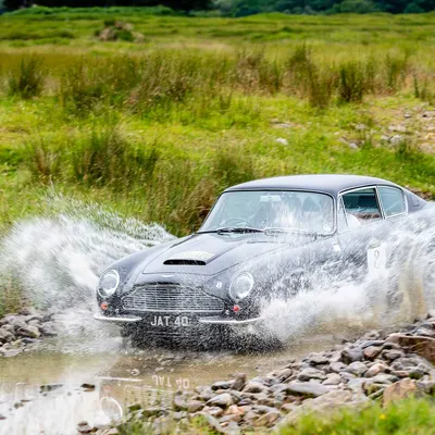West Highland Cloverleaf July